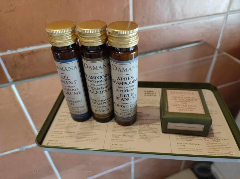 דירות קרקסון Charme De Victor Conciergeriedamecarcas מראה חיצוני תמונה